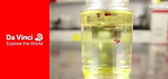 Crafty Art - Make Fireless Fireworks