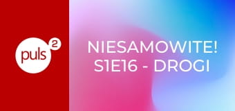 Niesamowite! S1E16 - Drogi spadek