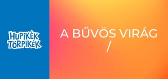 A bűvös virág / Apáknapi ajándék