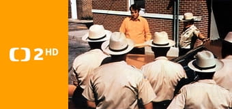 Kráčející skála