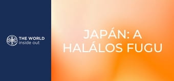 Japán: a halálos fugu gömbhal és a robotok városa.