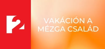 Vakáción a Mézga család E8 - Egymillió dollár