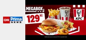 Estetika bez cenzury