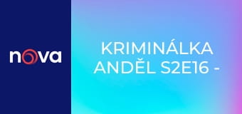 Kriminálka Anděl S2E16 - Legionář