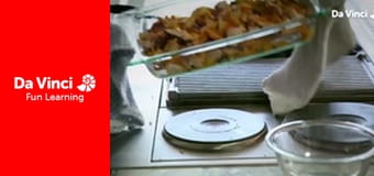 Matilda and the Ramsay Bunch - The BBQ Beef