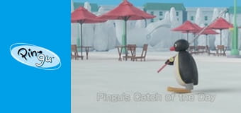 Pingu w miescie Sezon 1 Odcinek 22