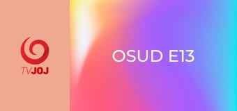 Osud E13