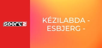 Kézilabda - Esbjerg - Podravka Koprivnica