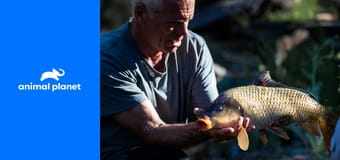 Jeremy Wade: V temných vodách S1E8 - Pověstná jihoafrická příšera