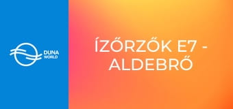 Ízőrzők E7 - Aldebrő