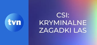 CSI: Kryminalne zagadki Las Vegas S12E7 - Zagadka mózgu