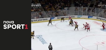 NHL: Boston Bruins - Carolina Hurricanes