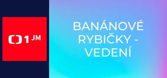 Banánové rybičky - vedení