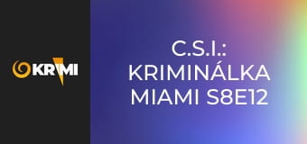 C.S.I.: Kriminálka Miami S8E12 - Koniec šou