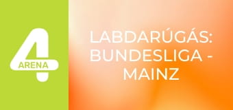 Labdarúgás: Bundesliga - Mainz – Mönchengladbach