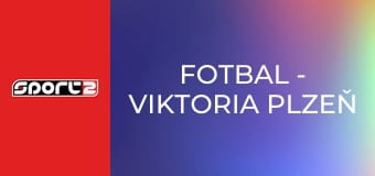 Fotbal - Viktoria Plzeň - Fenerbahçe