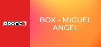 Box - Miguel Angel Cotto - Carlos Ramirez