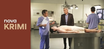 Námořní vyšetřovací služba S22E20 - Nexus