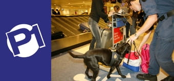 Straż graniczna S2E18