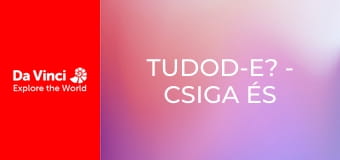 Tudod-e? - Csiga és traktor Tudod-e? - Csiga és traktor
