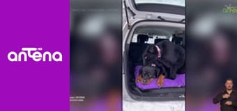 Zakręcone stworzonka z Internetu S1E7