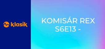 Komisár Rex S6E13 - Dievča a vrah