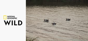 Cuda Afryki S1E3 - Sahara