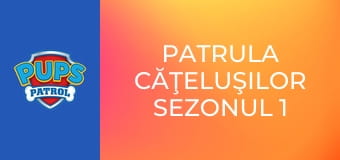 Patrula căţeluşilor Sezonul 1 Episodul 11