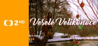 Království divočiny - Jihoafričtí lachtani