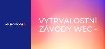 Vytrvalostní závody WEC - 8 hodin v Bahrajnu