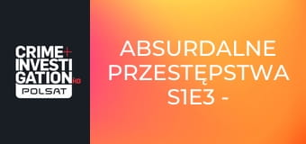 Absurdalne przestępstwa S1E3 - Pijany koń i powóz