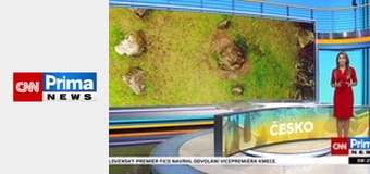 Prima ČESKO