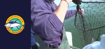 New Huck Finn, part 1