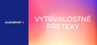 Vytrvalostné preteky