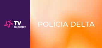 Polícia Delta