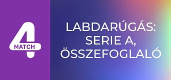 Labdarúgás: Serie A, összefoglaló - 13. forduló
