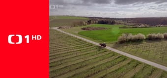 Toulky Českem budoucnosti - Masný průmysl