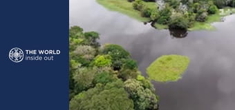 Extrémny rybolov a obete pirátov. Brazília.