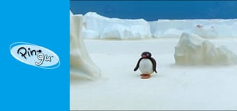 The Pingu Show Sezon 1 Odcinek 46