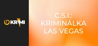 C.S.I.: Kriminálka Las Vegas S4E9 - Grissom versus sopka