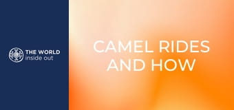 Tevegelés és a mongolok titka – hogyan élik túl a hideget? Kína.