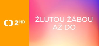 Žlutou žábou až do Mongolska E4 - Jak nevykrást banku a neopravit auto