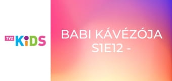 Babi kávézója S1E12 - A szilvacukor jótündér