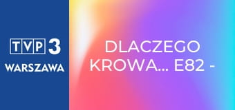 Dlaczego krowa... E82 - Mewy