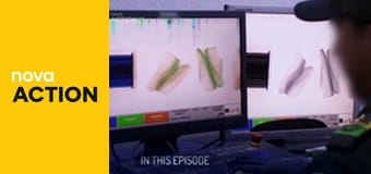 Hraniční kontrola: Latinská Amerika E13