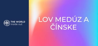 Lov medúz a čínske recepty na ich prípravu. Čína.