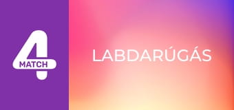 Labdarúgás. Serie A: Full Impact