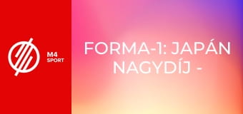 Forma-1: Japán Nagydíj - Futam