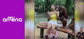 Zakręcone stworzonka z Internetu S2E3