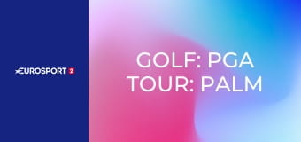 Golf: PGA Tour: Palm Beach Classic